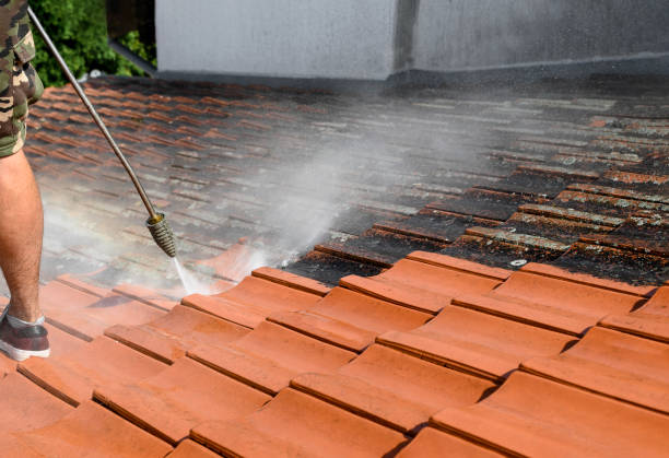 Best Commercial Building Pressure Washing  in Alamo, TN