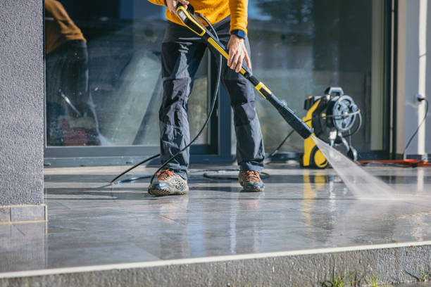 Best Roof Pressure Washing  in Alamo, TN