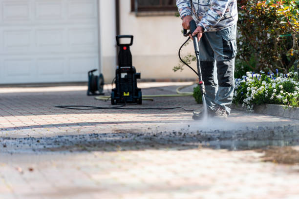 Best Power Washing Near Me  in Alamo, TN
