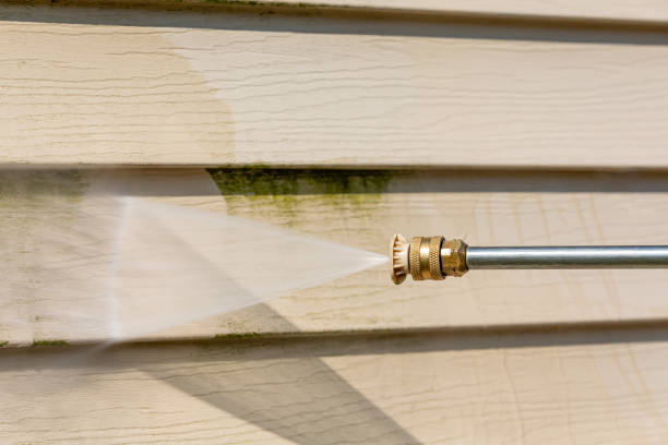 Local Pressure Washing Services in Alamo, TN