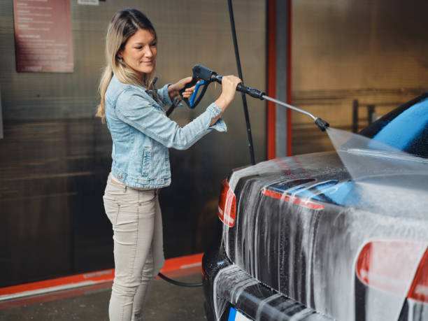 Best House Pressure Washing  in Alamo, TN